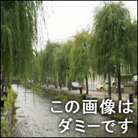 �v���t�B�[��